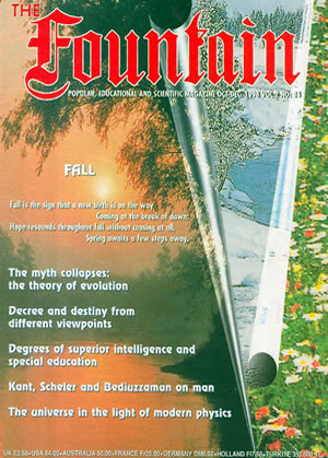 Issue 24 cover